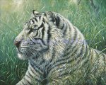 White Tiger (image for) White Tiger